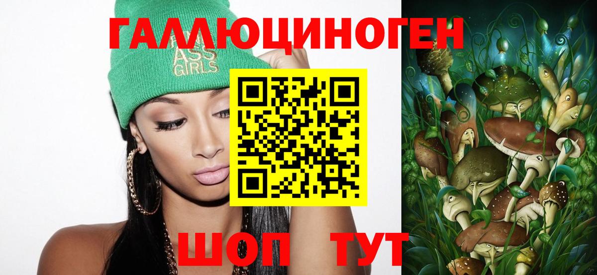 Галлюциногенные грибы Psilocybe Псков